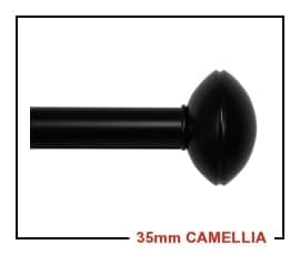 35mm Camellia